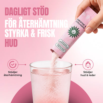 Creatine & Collagen Glow Sticks