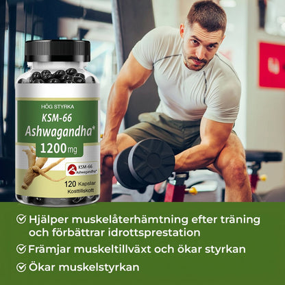 Ashwagandha Premium 1200 mg - Gymfit