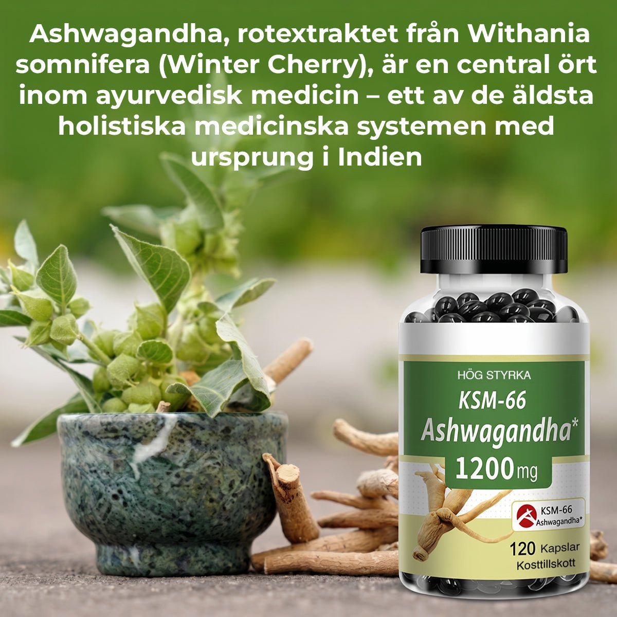 Ashwagandha Premium 1200 mg - Gymfit