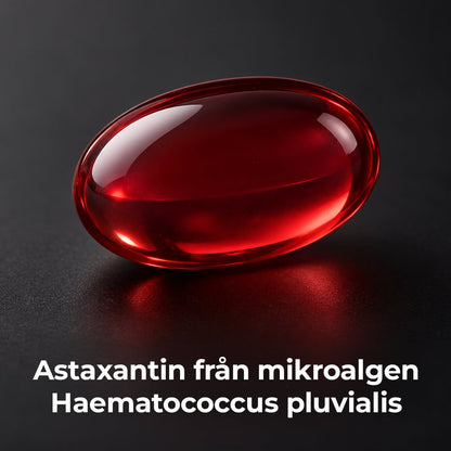 Astaxanthin 12mg Triple Strength - Gymfit
