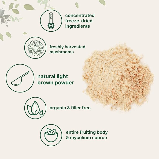 Organic Lions Mane - Gymfit
