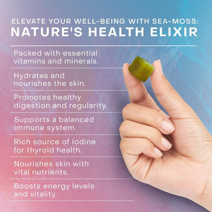 Gummies Sea Moss éclat - Gymfit