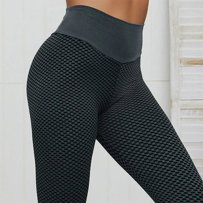 Seamless Ribbed Leggings - Gymfit